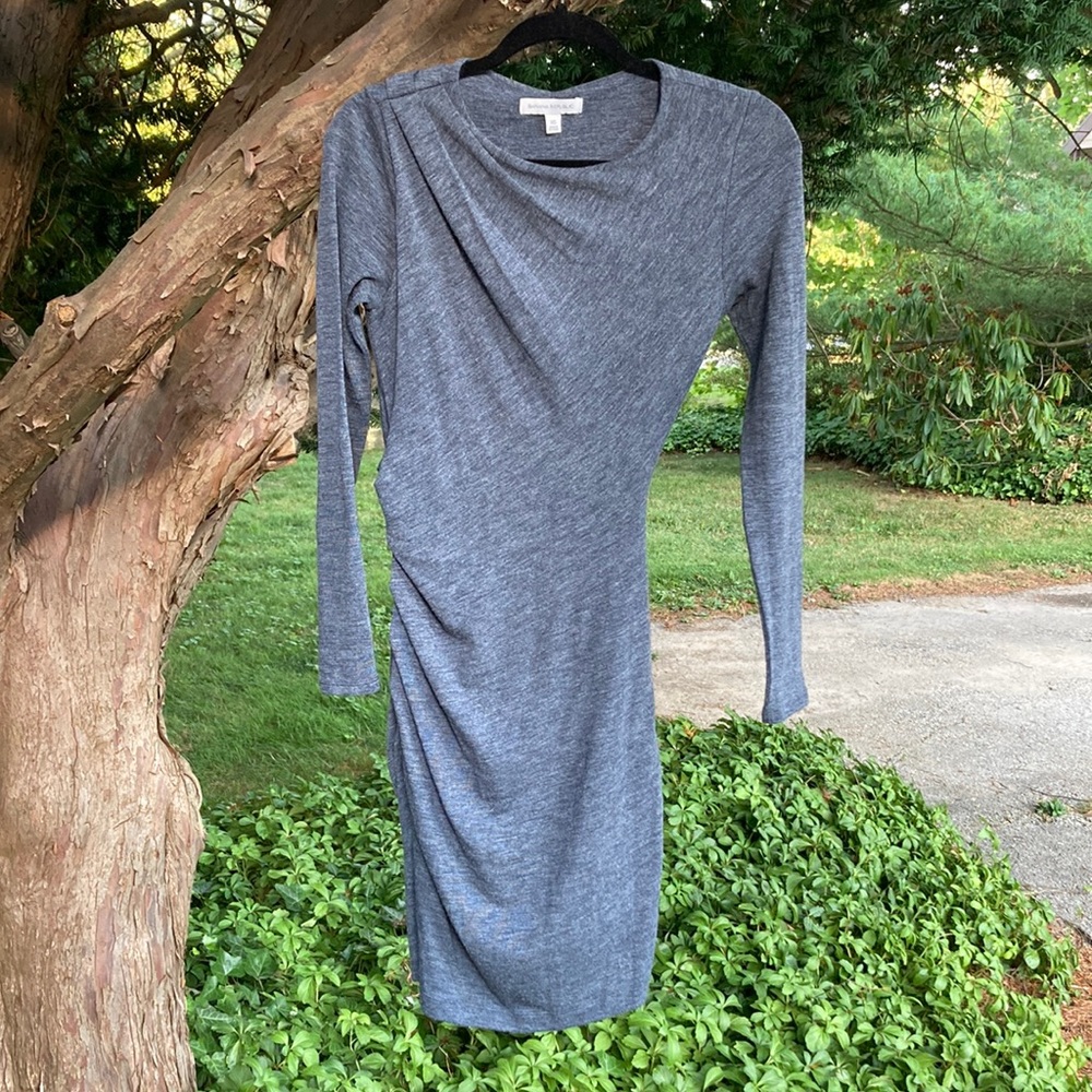 Banana Republic Cinched Casual Long Sleeve Dress